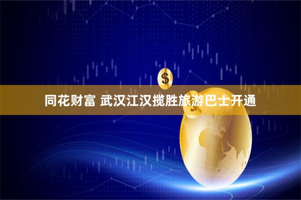 同花财富 武汉江汉揽胜旅游巴士开通